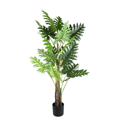 Hoja Planta verde filodendro en maceta negra L traducido a Solo.