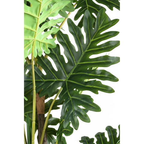 Hoja Planta verde filodendro en maceta negra L traducido a Solo.