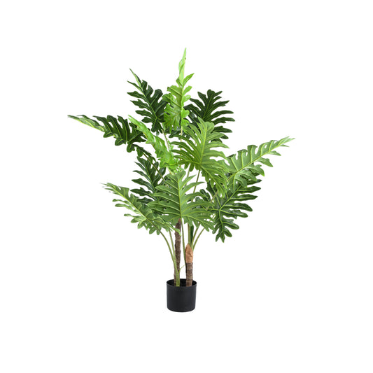Hoja Planta verde filodendro en maceta negra S