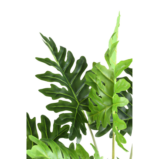 Hoja Planta verde filodendro en maceta negra S