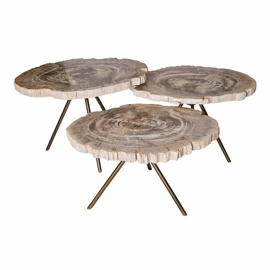 New Khine cream petrified wood coffee table round sv