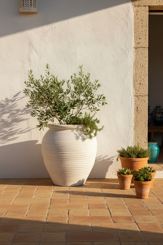 Pot mediterraan