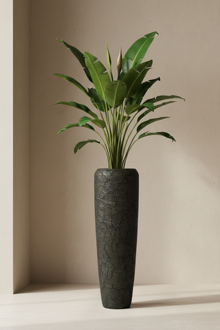 Pot Rover Coal slank met groene plant