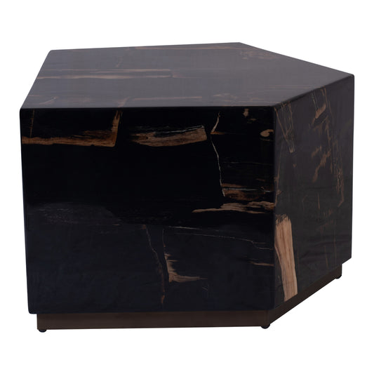 Rayn Petrified wood black coffeetable M