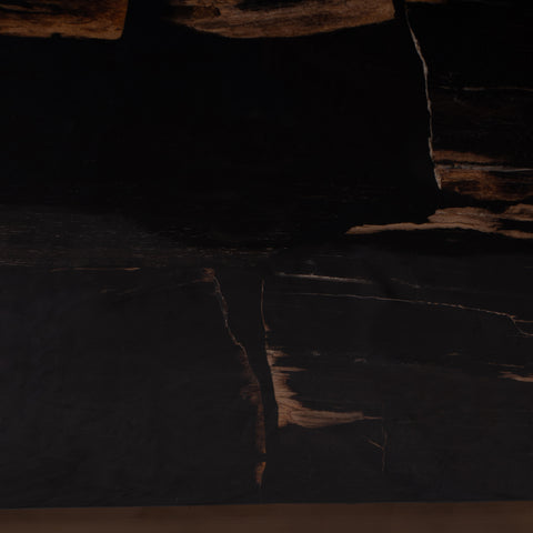 Rayn Petrified wood black coffeetable M