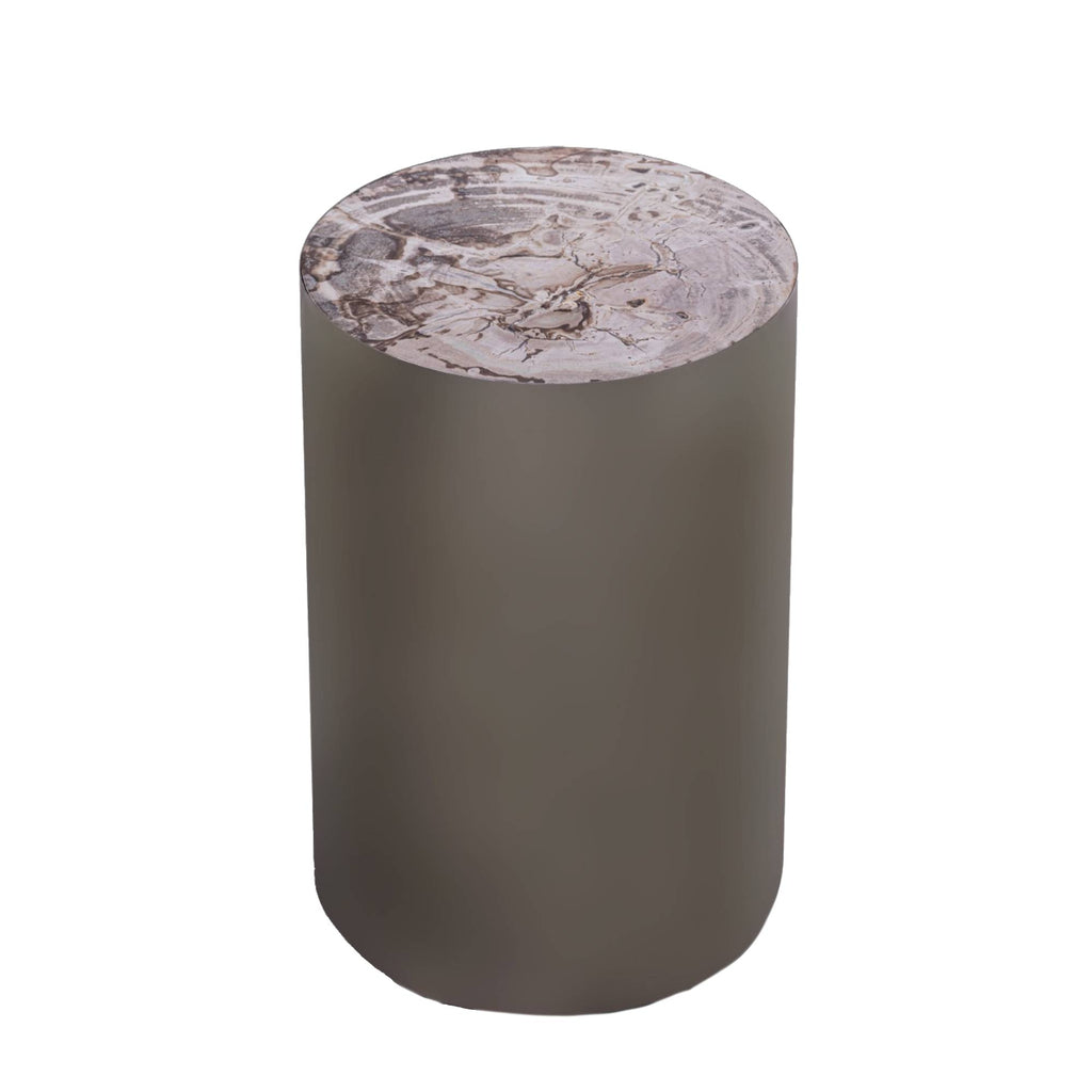 Rillix Natural petrified wood side table nickel round