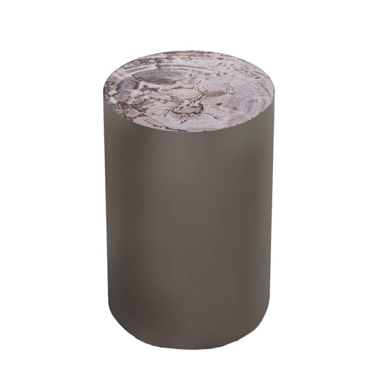Rillix Natural petrified wood side table nickel round