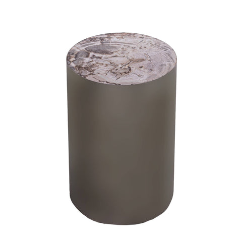 Rillix Natural petrified wood side table nickel round