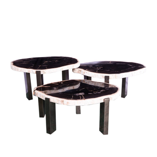 Rudi Grey petrified wood coffee table nickel SV3