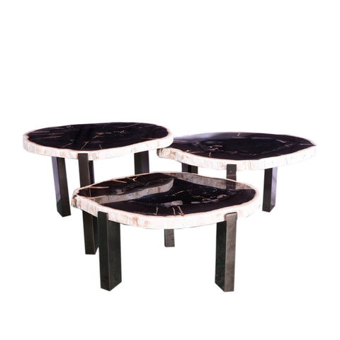 Rudi Grey petrified wood coffee table nickel SV3
