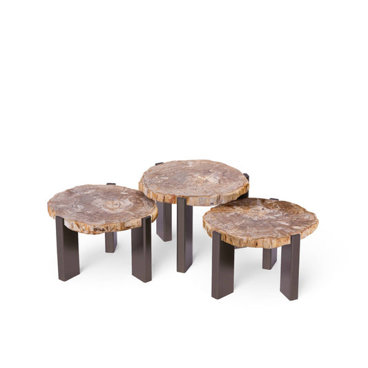 Rudi Natural petrified wood coffee table nickel SV3