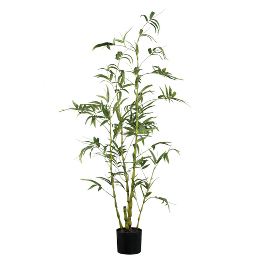 Árbol Verde árbol de bambú en maceta