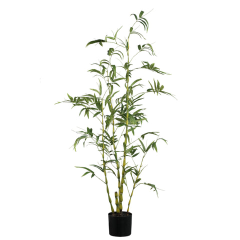 Árbol Verde árbol de bambú en maceta
