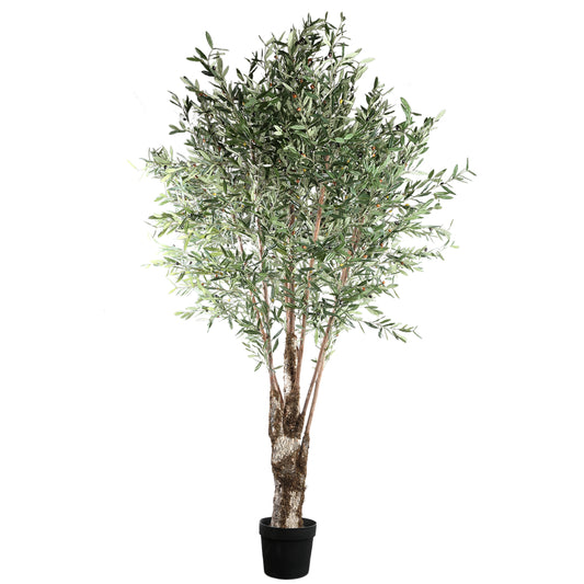 Árbol Verde árbol de olivo en maceta de plástico
