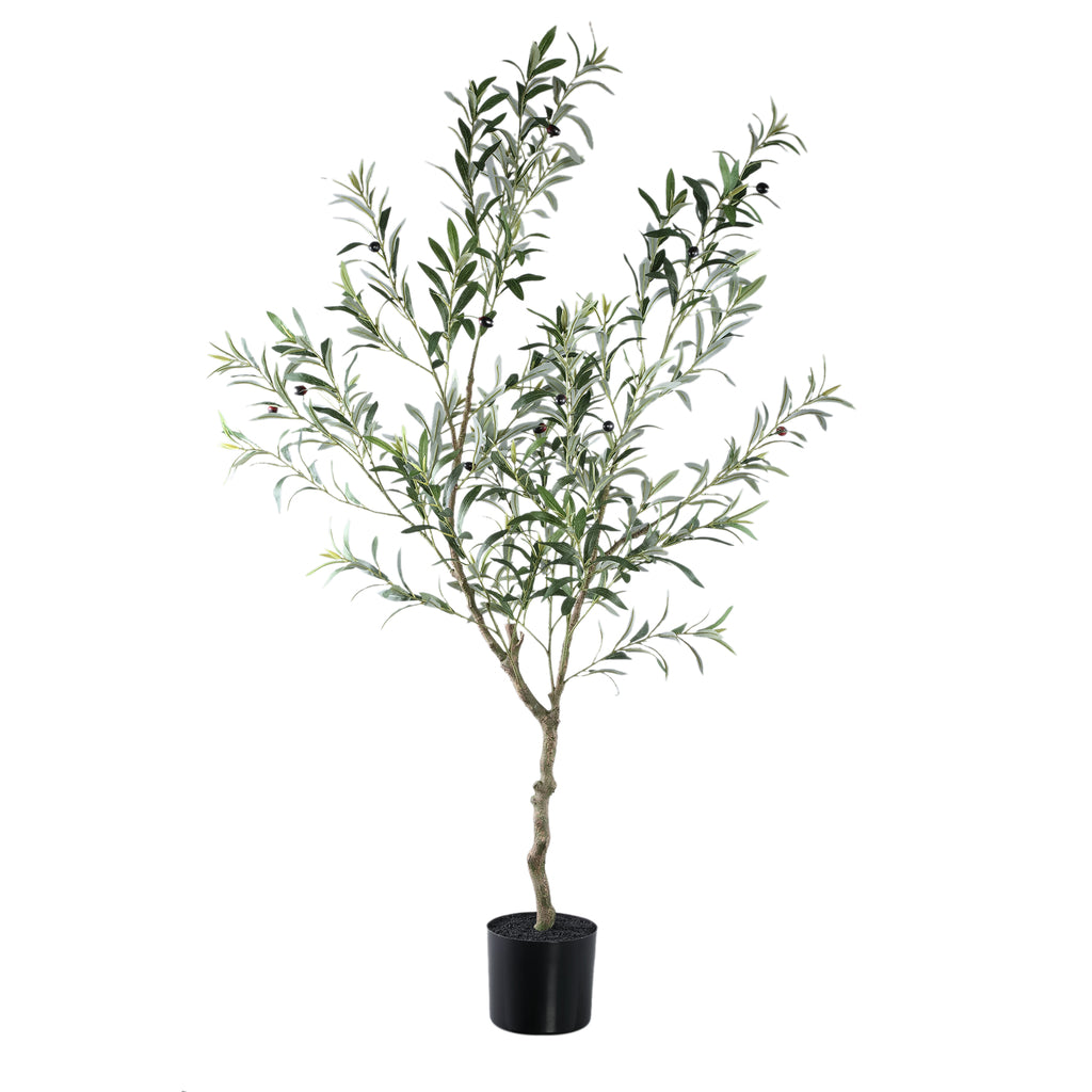 Árbol Verde olivo en maceta L