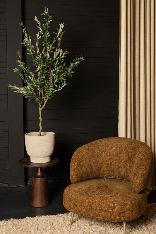 Árbol Verde olivo en maceta L