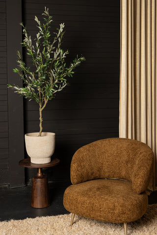 Árbol Verde olivo en maceta L