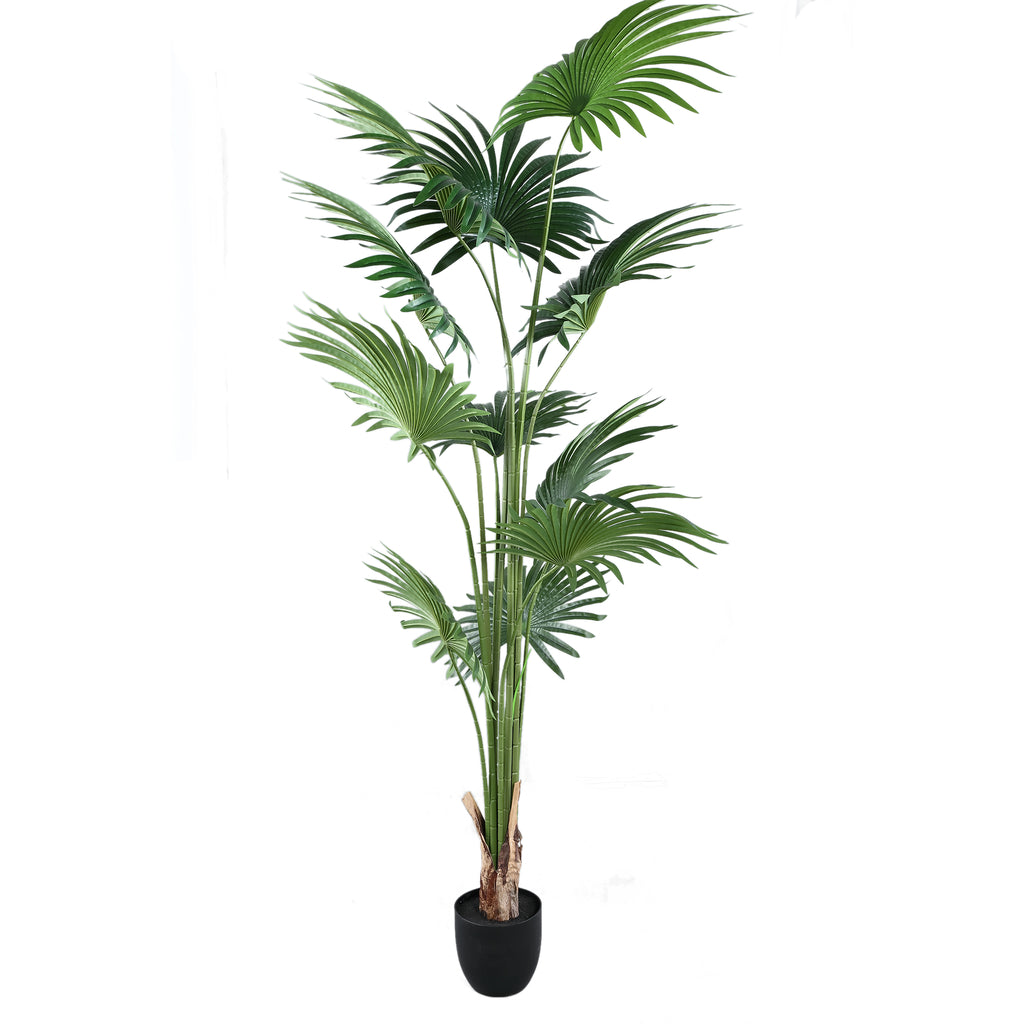 Arbre Vert palmier 11 feuilles en pot