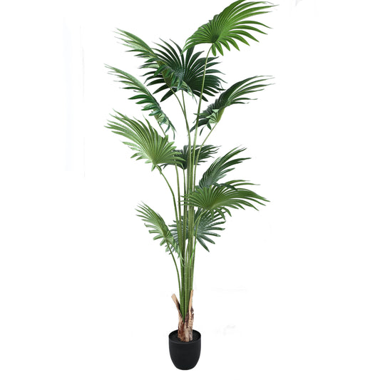 Arbre Vert palmier 11 feuilles en pot