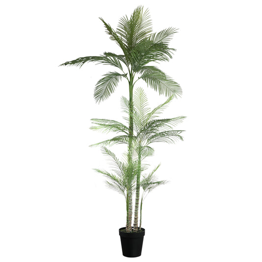 Árbol Verde palmera en maceta negra