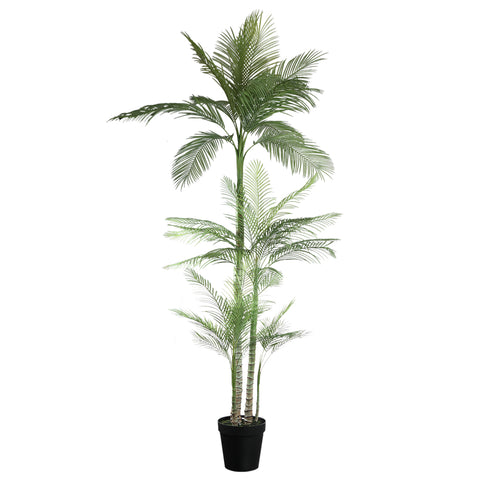 Árbol Verde palmera en maceta negra