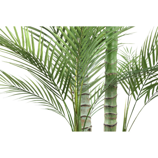 Árbol Verde palmera en maceta negra