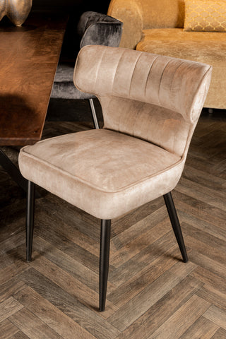 Zinno Siva dining chair
